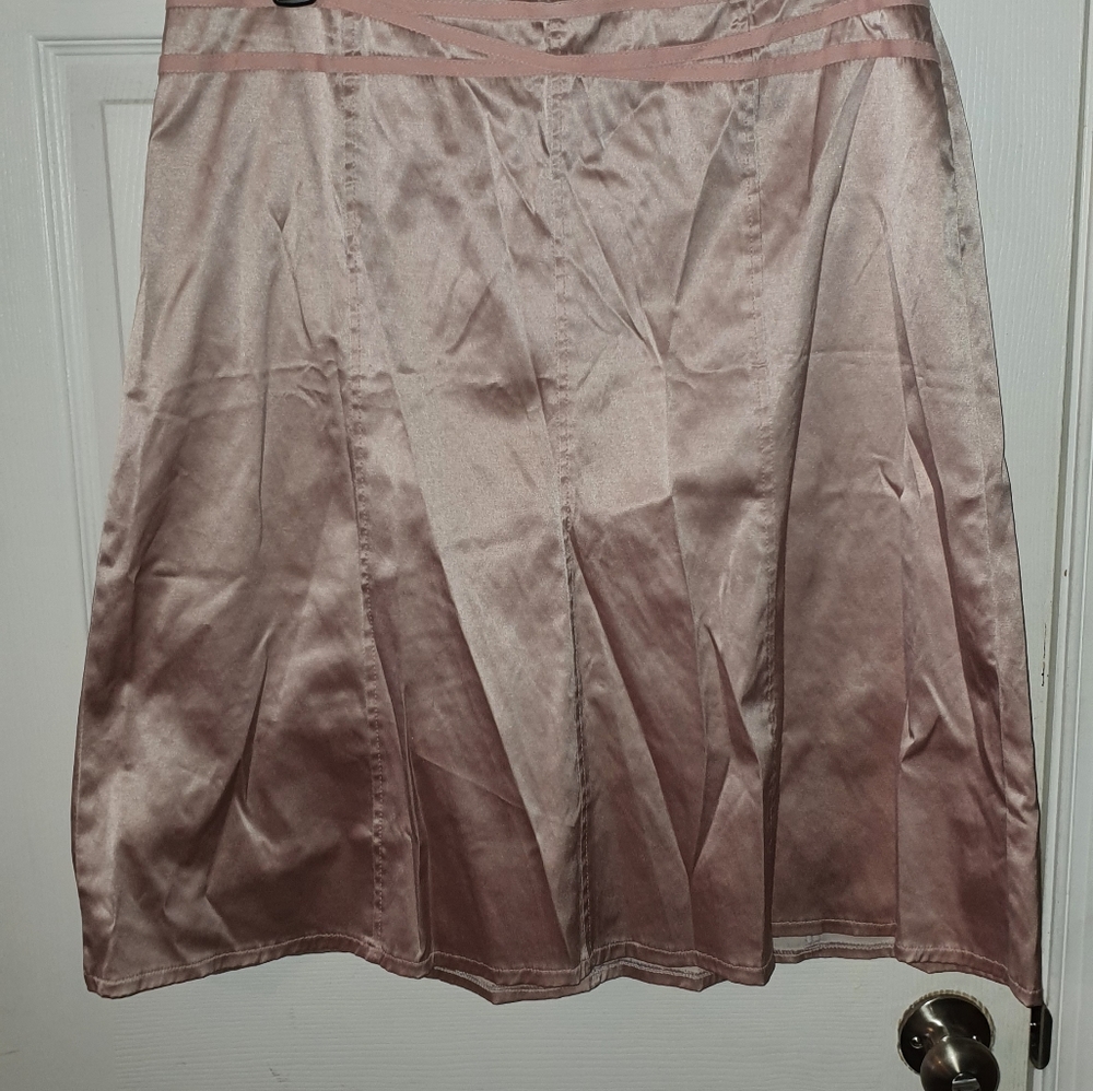 3/$15 Rachel Adams shiny pink skirt